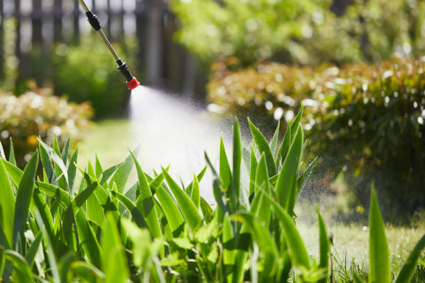 24/7 Emergency Mosquito Control experts in Weigelstown, PA